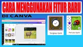 Penjelasan tentang fitur baru di canva dan cara menggunakannya, @omdea