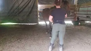 Tessa - Day 146 On The Farm - When I tell you I NEEDED this win 😭💓