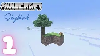 Can We Beat Minecraft Skyblock on a Shared Account | Usnos | Ep 1