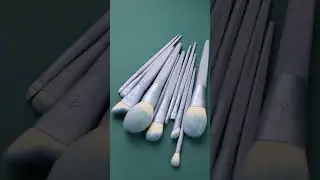 EIGSHOW Beauty: EcoPro Bamboo Fiber 11pcs Professional Makeup Brush Kit Unboxing