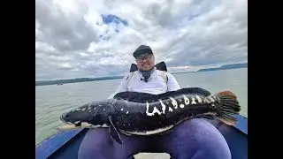 Massive Mama Toman Snakehead Fishing Thailand 2025 -Part 1- BKKGUY