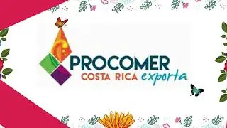Exportaci&oacute;n - Pupas de Mariposas