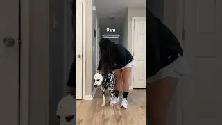 Morning routine with a high-energy dog