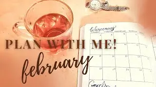 Plan With Me Bangladesh | bullet journal February setup