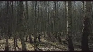 Em todas as ruas... ---- M&aacute;rio Cesariny
