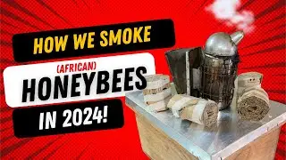 How to use a smoker to work with defensive African honeybees in 2024!