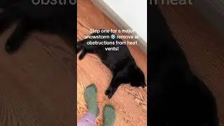 @the.christmas.hom: Check your heat vents for obstructions! Everybody wants to be a cat!