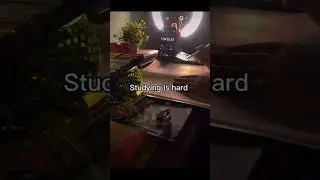 Study hard lead you have a bright future