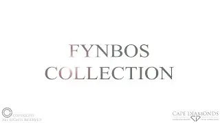 Trending Engagement Rings Fynbos Collection Cape Diamonds 2022