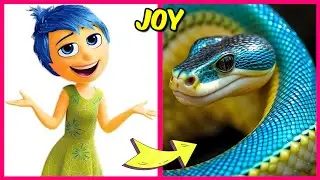 Inside Out 2 Pixar Animation Characters As Snakes And Their Favorite Drinks, Snacks & Others | Joy