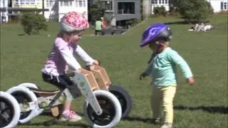 Wishbone Flip & Bike