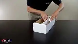 BCW Shoe Storage Box