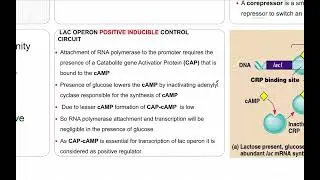 Operon |CUET PG| Life Sciences