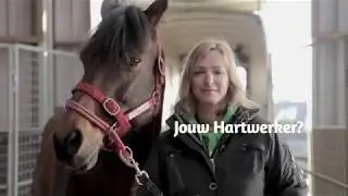 Hartwerkers, Annemarie van der Toorn, naar paarden luisteren