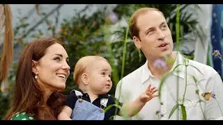 A Guide to the Royal Family: Who's in Line to Take the Throne?