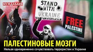 ПАЛЕСТИНОВЫЕ МОЗГИ. Нельзя одновременно сочувствовать террористам и Украине