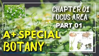 PLUS TWO - BOTANY - A+ SPECIAL - CHAPTER 01 - BASED ON FOCUS AREA