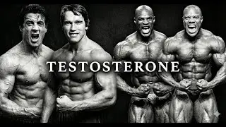 18 Minutes of PURE TESTOSTERONE - The Most Powerful Motivational Speech Compilation 2026