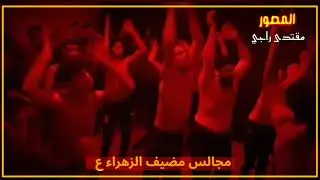 سيد حاتم الموسوي // يازهراء // شور نزال // مجالس مضيف الزهراء // الروايه الثانيه 1441