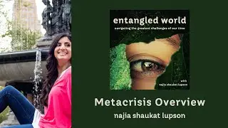What is the Metacrisis? | Najia Shaukat Lupson