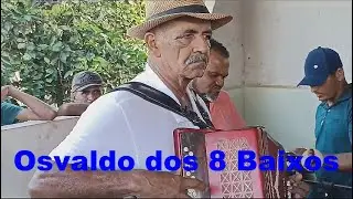 Osvaldo dos 8 Baixos - Fazenda Aldeia - inhambupe, Bahia (2024-01-21)