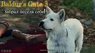 Baldur's Gate 3\ Шкряб!