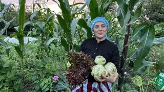 BAHÇEMİZ ORMAN OLMUŞ | GÜZLÜK FİDELERİ BERABER DİKELİM.