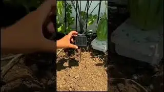 ✨ALL NEW 6 LED Solar Light Outdoor Firefly Lights For Garden Lawn Waterproof Swaying Light #shorts