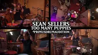 Sean Sellers - Too Many Puppies - #PrimusDrumAudition