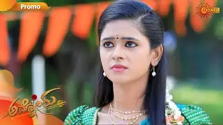 Ammanoru - Promo | 3rd February 2020 | Udaya TV Serial | Kannada Serial