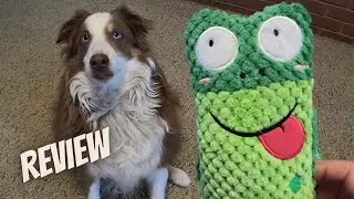 Squeaky and Snuffle Toy In One Review