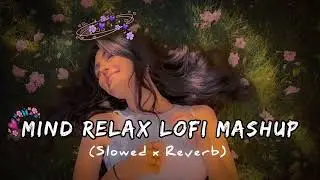 Maid relax song lofi music 🎵🎵#song #lofimu #hindisong #bolleywoodsong #lofimusic 