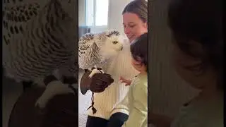 Когда доброта объединяет 🐾❤️ #animals #животные #shorts