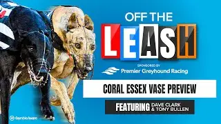 Предварительный обзор Coral Essex Vase | Off The Leash | Советы по собачьим бегам | Racing Post
