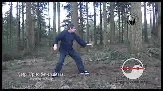 Yang Style Long Forms of Tai Chi Chuan Shadow Boxing