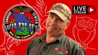 TOP TEN ANIMAL MYTHS | Trivia Night with Bare Hand Beran LIVE