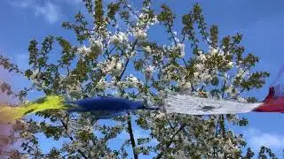 Gebetsfahnen im Fr&uuml;hling