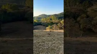 Natureza exuberante!!!