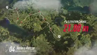 DiRT Rally 2.0_Historic Championship, medium, HARDCORE DAMAGE, pushing VW Golf to the limit