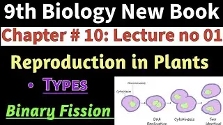 Reproduction in Plants| 9th Bio New Book| Chap # 10| Lec # 01| Types of Reproduction| Binary Fission