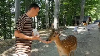 Family Vacation to Wisła, Poland | Summer 2018
