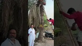 Hyderabad ki 20km daggarlo srinivas goud ethavanam yenkepally 98669 54760