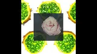 Rose Betts - War (Official Visualizer)