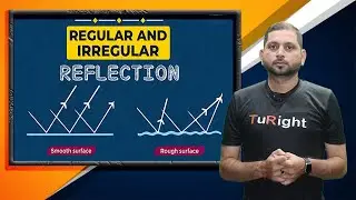 Regular and Diffuse Reflection of Light | Physics | Class 8