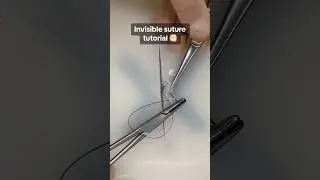 Invisible suture tutorial 😶&zwj;🌫️ #surgicalskill #buriedsuture #suture #suturepractice #vetmed
