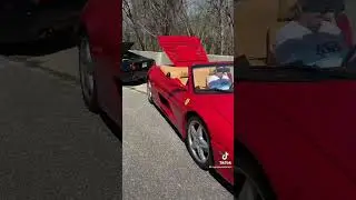 Z31 burn out