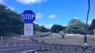 4 受胎渋滞