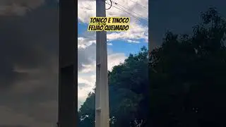 T&ocirc;nico e T&ocirc;nico.            Feij&atilde;o queimado.