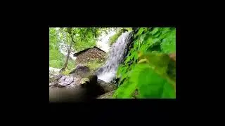 Buner Gokand valley @bunervalley#shorts #naturalbeauty