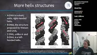 DNA, Sequencing, and Gene Structure (Bioinformatics S3E2)